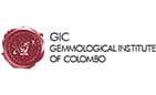 The official logo GIC