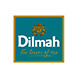 DIlmah